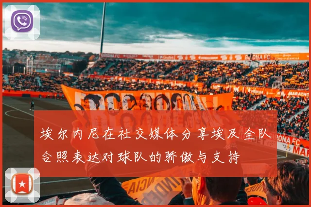 埃尔内尼在社交媒体分享埃及全队合照表达对球队的骄傲与支持