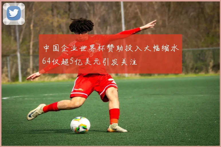 中国企业世界杯赞助投入大幅缩水64仅超5亿美元引发关注