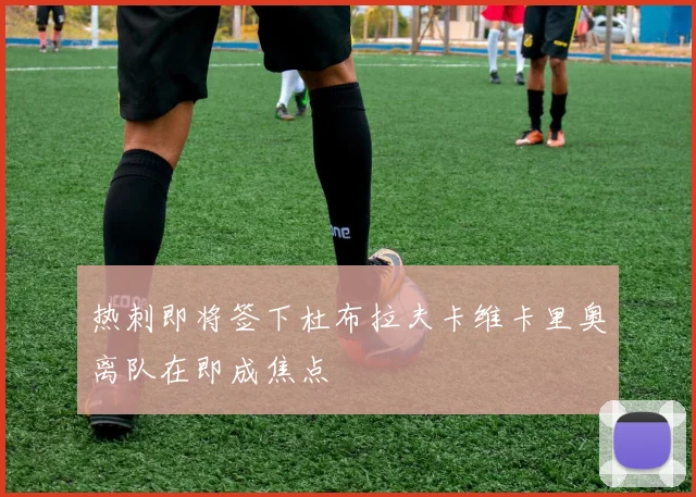 热刺即将签下杜布拉夫卡维卡里奥离队在即成焦点